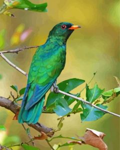 Asian Emerald Cuckoo Diamond Painting