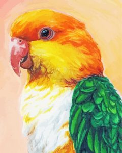 Caique Art Diamond Painting