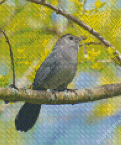Catbird On A Branch Diamond Painting