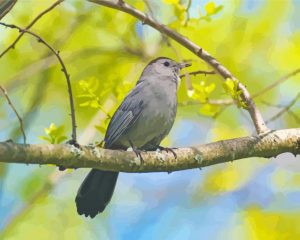 Catbird On A Branch Diamond Painting