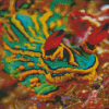 Close Up Sea Slug Diamond Painting
