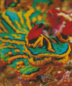 Close Up Sea Slug Diamond Painting