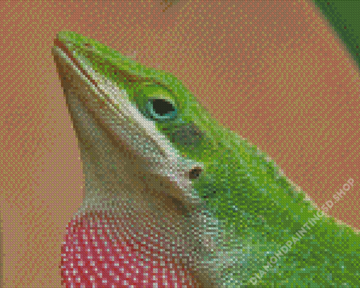 Colorful Bearded Dragon Diamond Painting