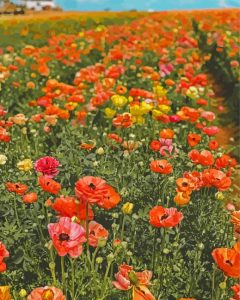 Flowers In Field Diamond Painting