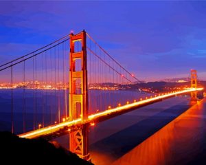 Golden Gate Bird At San Francisco Diamond Painting