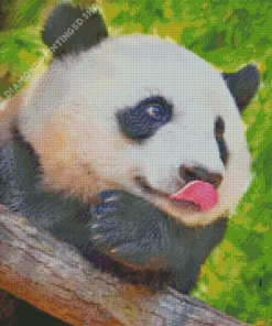 Panda Sticking Tongue Out Diamond Painting