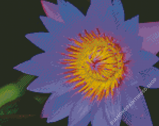 Purple Tiger Lotus Diamond Painting