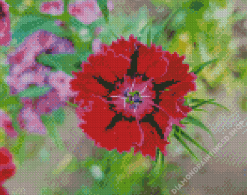 Red Sweet William Flower Diamond Painting