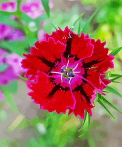 Red Sweet William Flower Diamond Painting