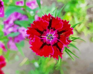 Red Sweet William Flower Diamond Painting