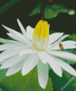 White tiger Lotus Flower Diamond Painting