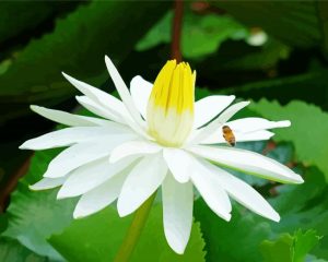 White tiger Lotus Flower Diamond Painting