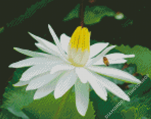 White tiger Lotus Flower Diamond Painting