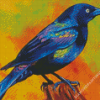 Common Grackle Bird Art Diamond Painting