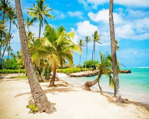 Hawaii Kāhala Beach Diamond Painting