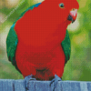 Australian King Parrot Bird Diamond Painting