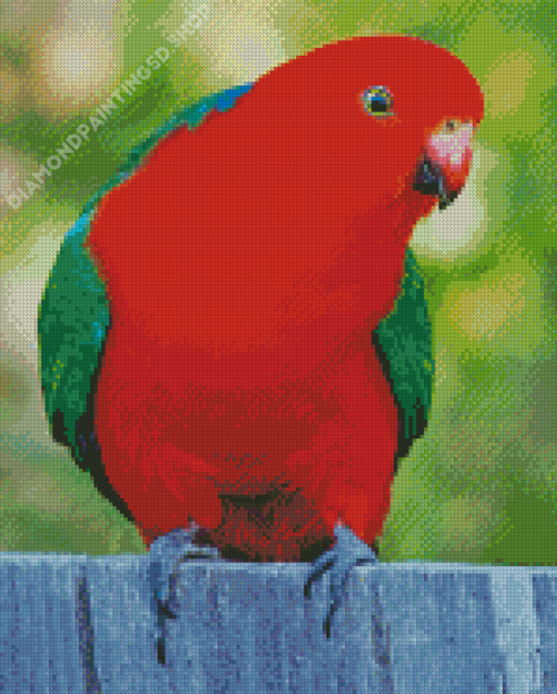 Australian King Parrot Bird Diamond Painting