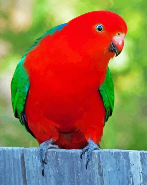 Australian King Parrot Bird Diamond Painting