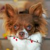 Long Haired Chihuahua Dog Diamond Painting