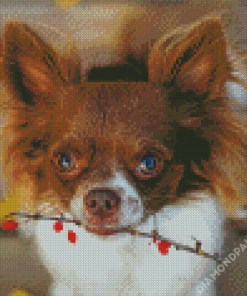 Long Haired Chihuahua Dog Diamond Painting