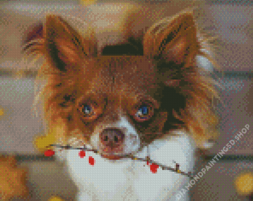 Long Haired Chihuahua Dog Diamond Painting