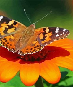 Painted Lady Butterfly Insect Diamond Painting