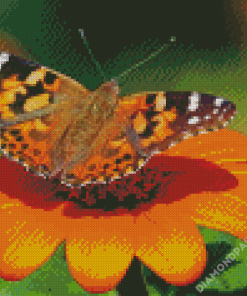 Painted Lady Butterfly Insect Diamond Painting