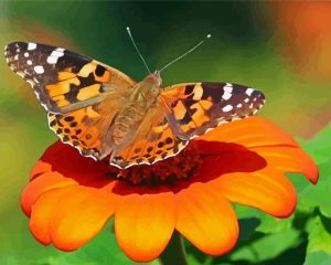 Painted Lady Butterfly Insect Diamond Painting