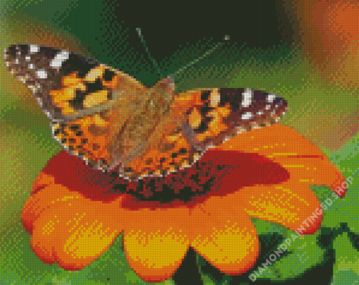 Painted Lady Butterfly Insect Diamond Painting