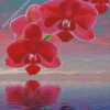 Pink Orchid Flowers Diamond Painting