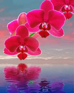 Pink Orchid Flowers Diamond Painting