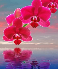 Pink Orchid Flowers Diamond Painting