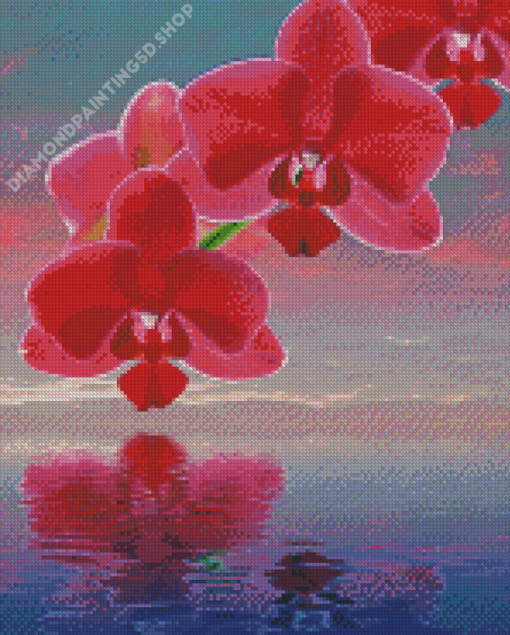 Pink Orchid Flowers Diamond Painting