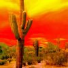 Sunset Saguaro National Park Diamond Painting