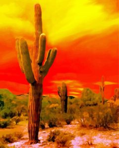 Sunset Saguaro National Park Diamond Painting