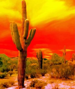 Sunset Saguaro National Park Diamond Painting