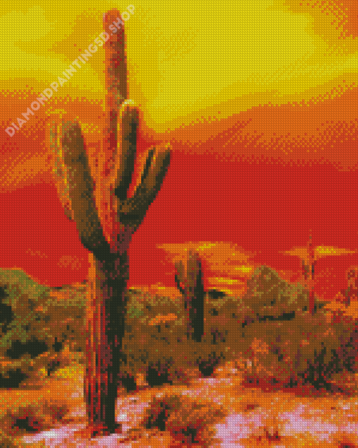 Sunset Saguaro National Park Diamond Painting