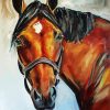 Aesthetic Brown Horse Head Art Diamond Painting