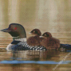 Aesthetic Loon With Baby Bird Diamond Painting