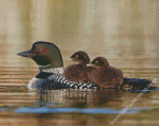 Aesthetic Loon With Baby Bird Diamond Painting