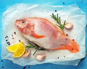 Aesthetic Fish Cooking Diamond Painting