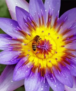 Bee On Purple Yellow Flower Diamond Painting