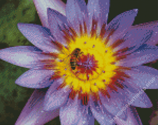 Bee On Purple Yellow Flower Diamond Painting