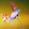 Butterflies And Blooms Diamond Painting