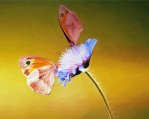 Butterflies And Blooms Diamond Painting