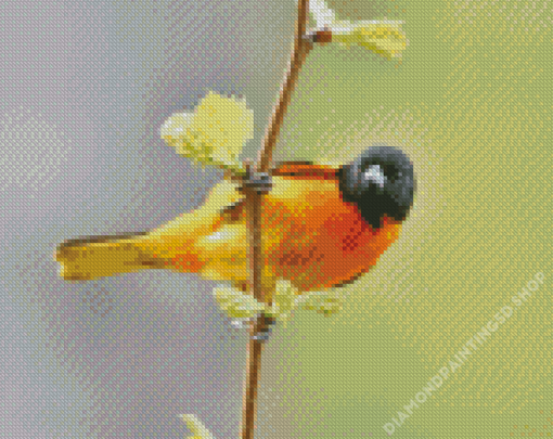 Baltimore Oriole Diamond Painting