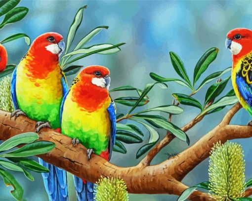 Eastern Rosella Art Diamond Painting