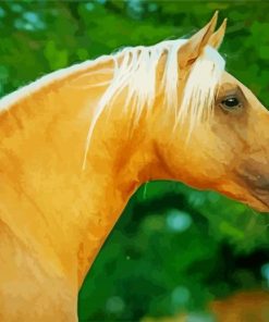 Golden Mare Horse Head Diamond Painting