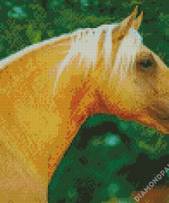 Golden Mare Horse Head Diamond Painting