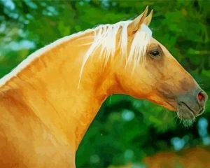 Golden Mare Horse Head Diamond Painting